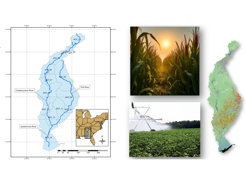 Climate-Informed Crop Yield & Irrigation Projections for the ACF River Basin
